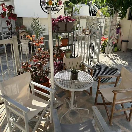 New Panorama And * Паралион-Астрос